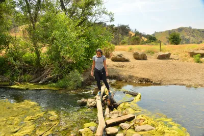 DSC_6535 (Large).JPG